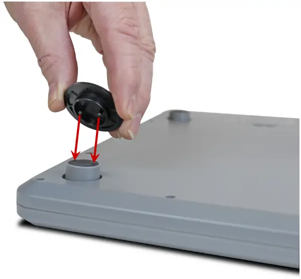 DETECTO SLIMPRO Talking Low Profile Health Scale - carpet