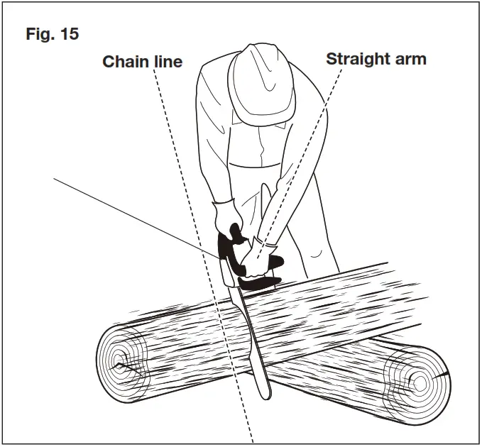 SUNJOE SWJ599E Tree Limb Master Electric Handheld Chains - Fig 19