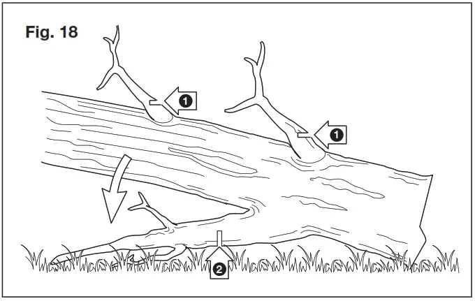SUNJOE SWJ599E Tree Limb Master Electric Handheld Chains - Fig 22