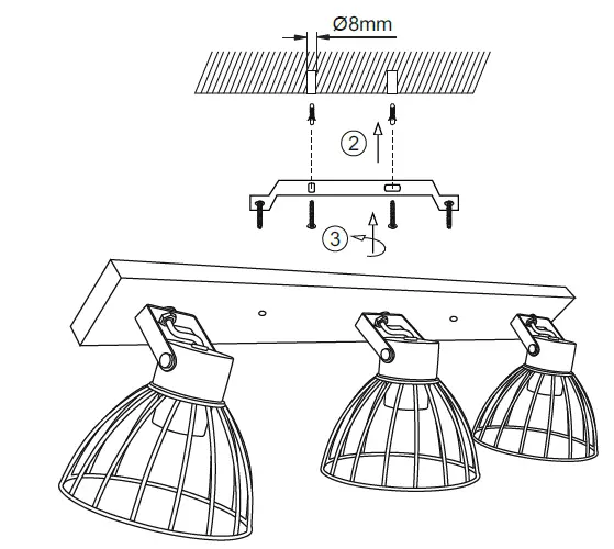 Paul-3Neuhaus-998275-Lami-Penda-FIG-3