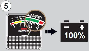 FERVE DUAL F-908 Battery Charger-8