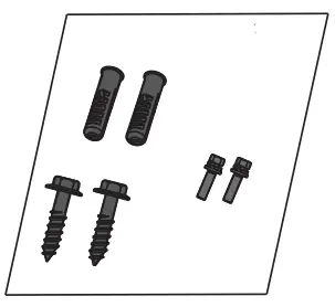 mounting screw ×1