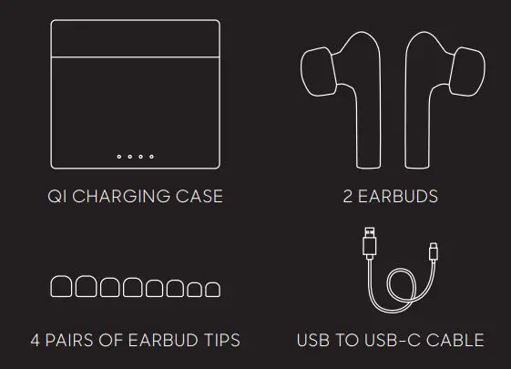 SHARPER IMAGE OOBE Wireless Earbuds User Guide - WHAT YOU GET