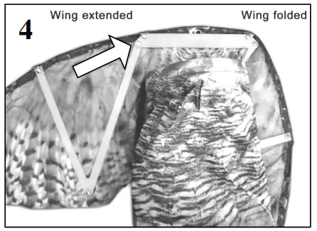 Bird-X Prowler Owl Instruction - Spread wings out