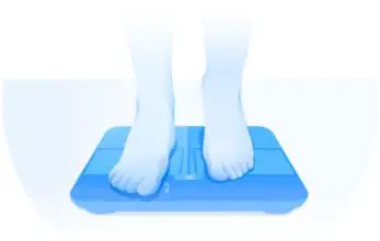 Amazfit Smart Scale - The Amazfit Smart Scale