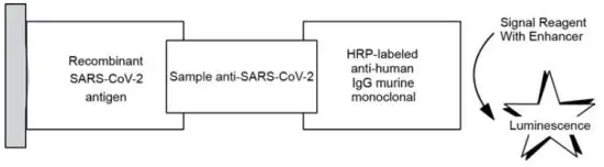 VITROS Immunodiagnostic 619 9919 Anti SARS CoV 2 IgG Reagent Pack - Reaction Scheme