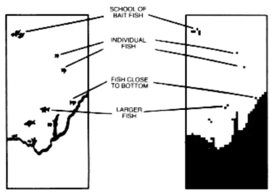 HUMMINBIRD TCR 101 Fish Finder - FIG12