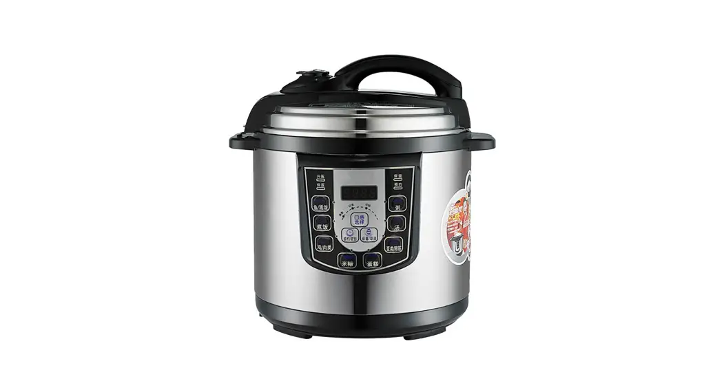 Esselunga Electrical Pressure Cooker Instructions