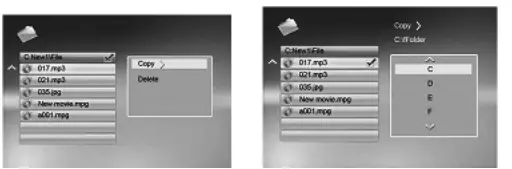 HYUNDAI LF 1217 MULTI Digital Photo Frame-fig10