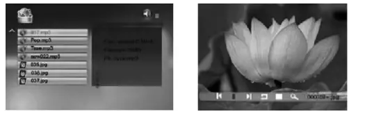 HYUNDAI LF 1217 MULTI Digital Photo Frame-fig9