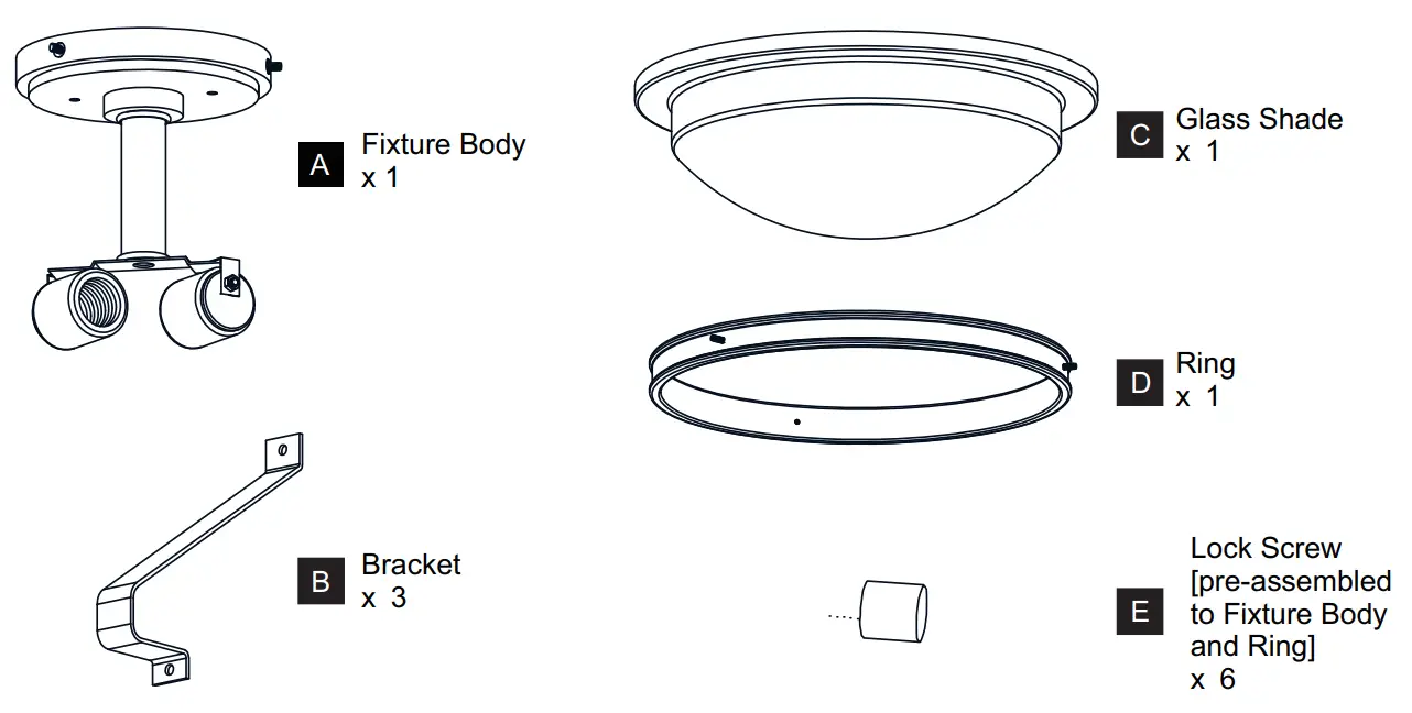 QUOIZEL QSF5581WS Lamps and Lighting Semi Flush Mount - PACKAGE CONTENTS