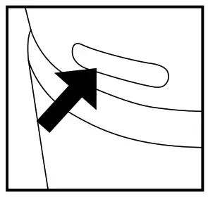 ADDING ESSENTIAL OILS 1