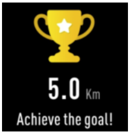 SW-164 Smartwatch Functions