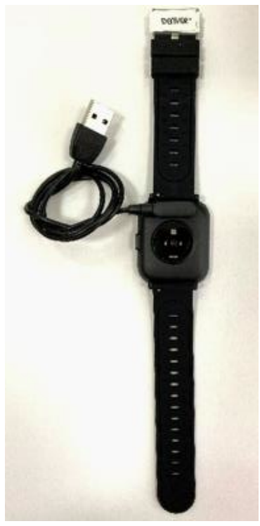 SW-164 Smartwatch Quick start guide