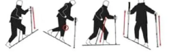 insportline-24699-Trekking-Pole-fig-1