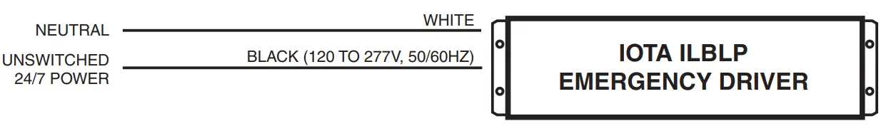 IOTA ILBLP CP20 HE SD HV Emergency LED Driver - THE AC INPUT