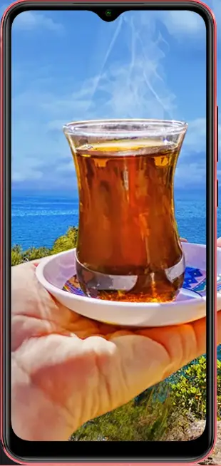 General-Mobile-CTGM2232GD01-Smartphone-fig-7