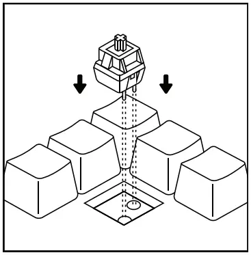 GLORIOUS COMPACT EDITION GLO GMMK COM BRN W Modular Mechanical Keyboard - Insert Switch