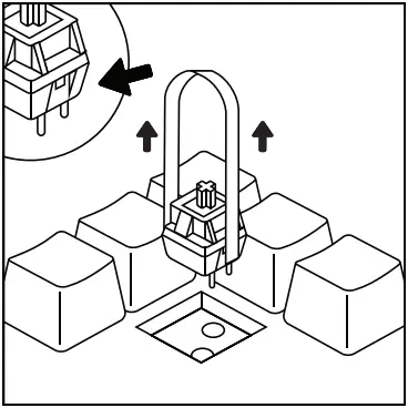GLORIOUS COMPACT EDITION GLO GMMK COM BRN W Modular Mechanical Keyboard - Remove Switch