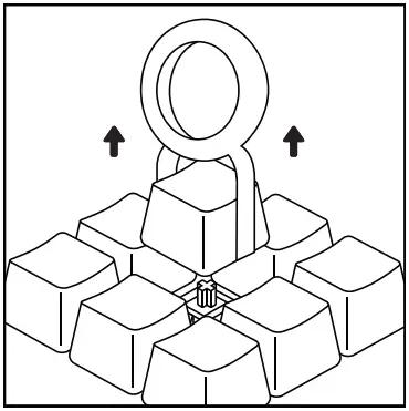 GLORIOUS COMPACT EDITION GLO GMMK COM BRN W Modular Mechanical Keyboard - keychap