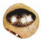 agratlink-Tractor-3-Point-Hitch-fig 33