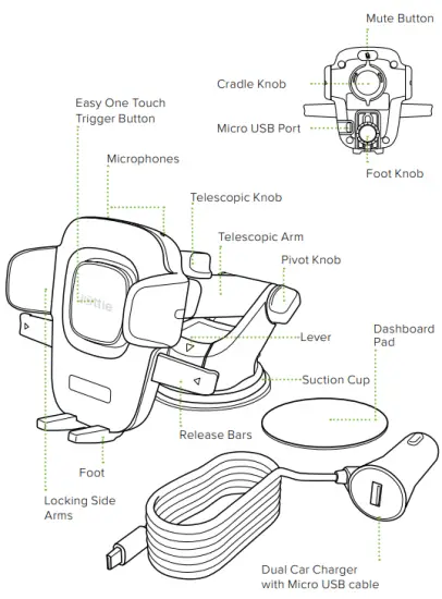 What’s in the Box: