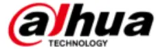 dahua-logo