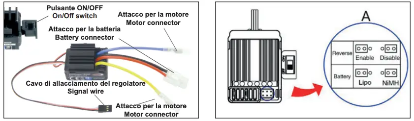 Disable the backward function