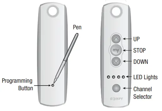 DRAPER Nocturne Plus E Outdoor Electric Projection Screen - 2