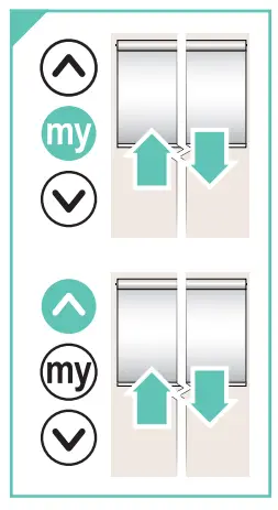 DRAPER Nocturne Plus E Outdoor Electric Projection Screen - 3