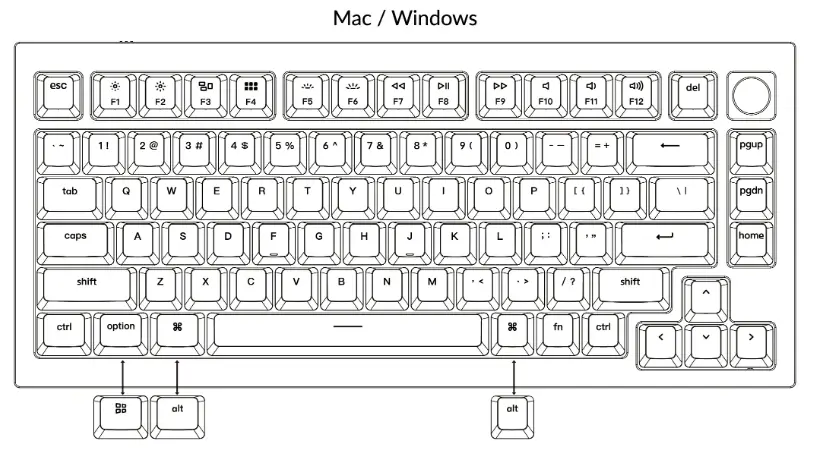 Mac/ Windows