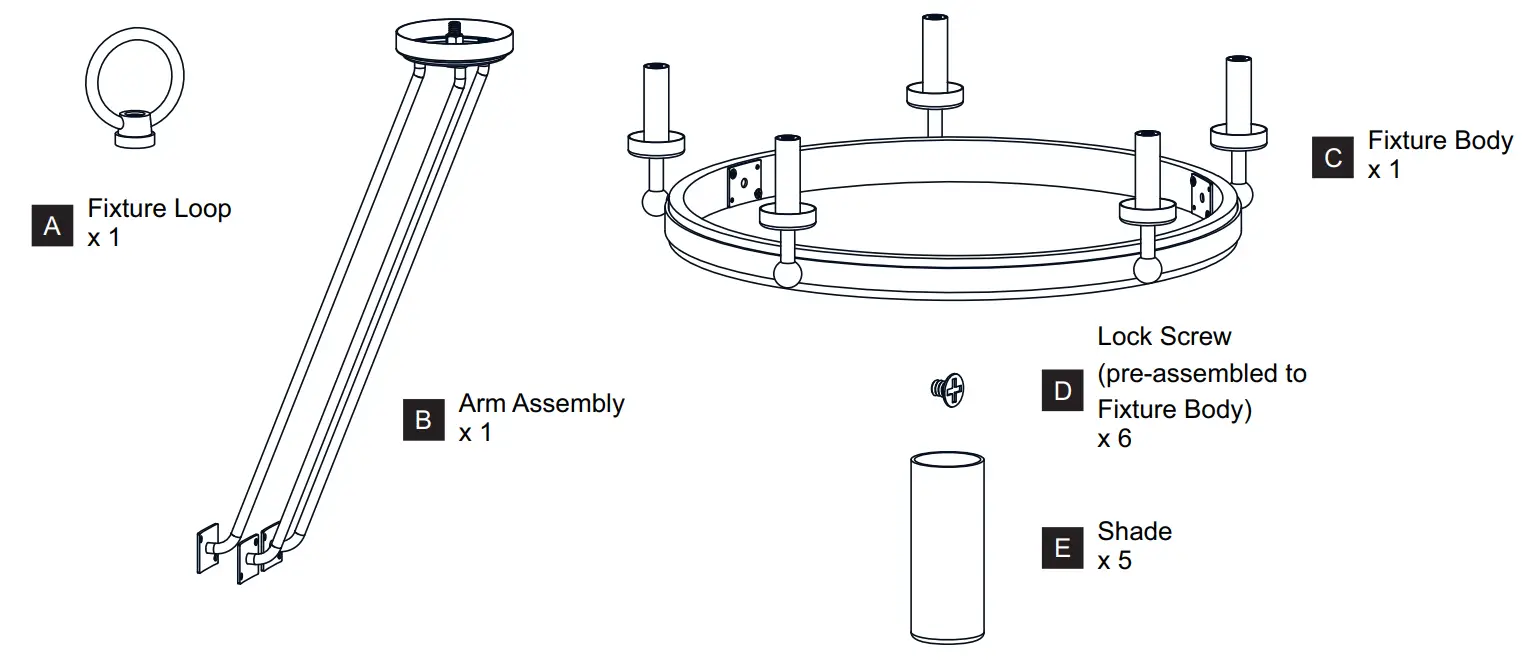 QUOIZEL KEL5025NWS Weathered Brass Chandelier Ceiling Light - PACKAGE CONTENTS