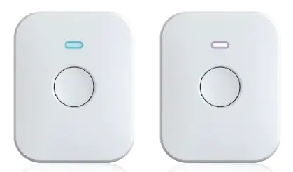 RainPoint-TWG009BW-Bluetooth-Sma