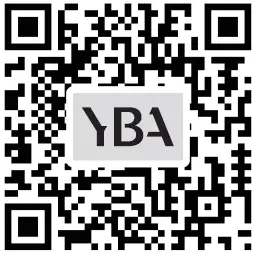 YBA-Passion-PRE550-MKII-Pre-Amplifier-FIG-5