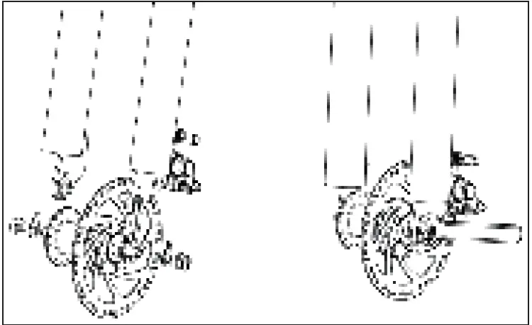 Eleglide M1 PLUS Electric Mountain Bike 03