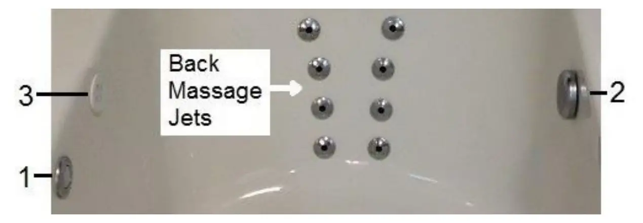 Hydrotherapy Back Massage System