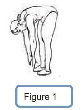 CITYSPORTS CS-WP2 Treadmill - 13