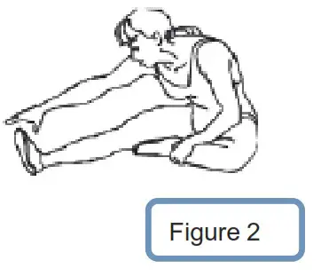 CITYSPORTS CS-WP2 Treadmill - 14