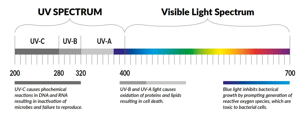 CARTONI UV CBoxer 7 Emergency Switch Lamp - Fig