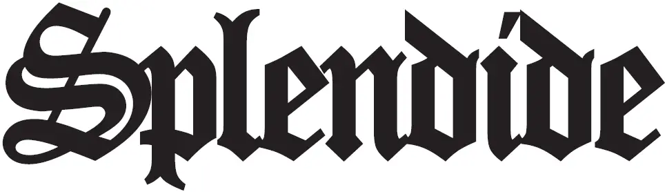 Splendide WFL1300XD Washing Machine logo