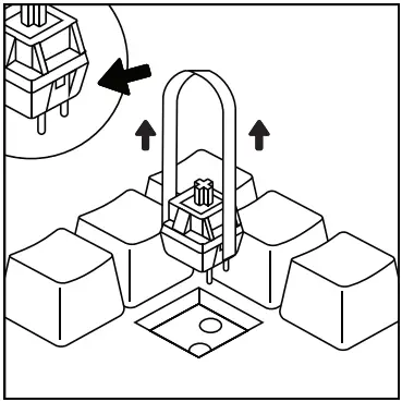 GLORIOUS COMPACT EDITION GLO GMMK COM BRN W Modular Mechanical Keyboard - Remove Switch