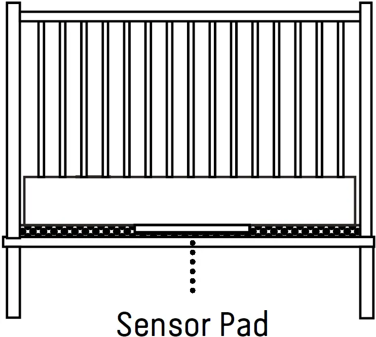 SETTING UP THE NURSERY UNIT 01