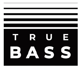 ifi AURORA Wireless Music System -8