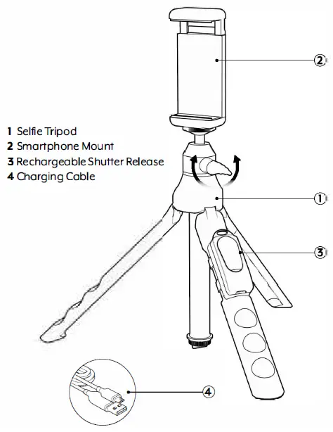 Shaoxing Shangyu Green L Digital fig 1