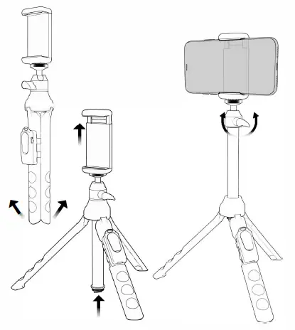 Shaoxing Shangyu Green L Digital fig 2
