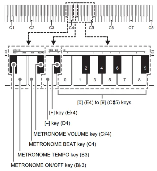 CASIO Digital Paino - metronome