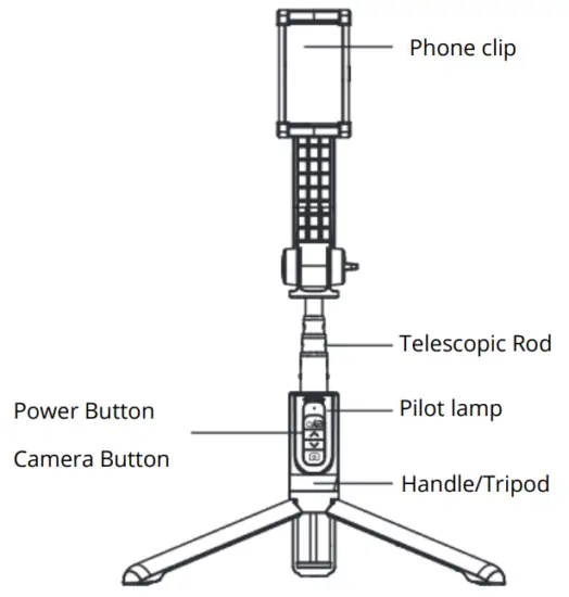 Schematic display of product