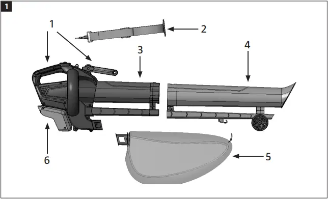 018285 Multiseries - Fig. 1