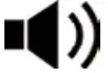 Speaker Icon