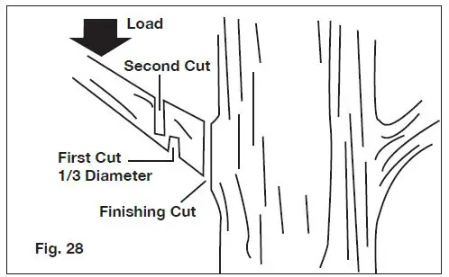SUN JOE iON100V-10PS-CT-RM Cordless Pole Chain Saw fig-31